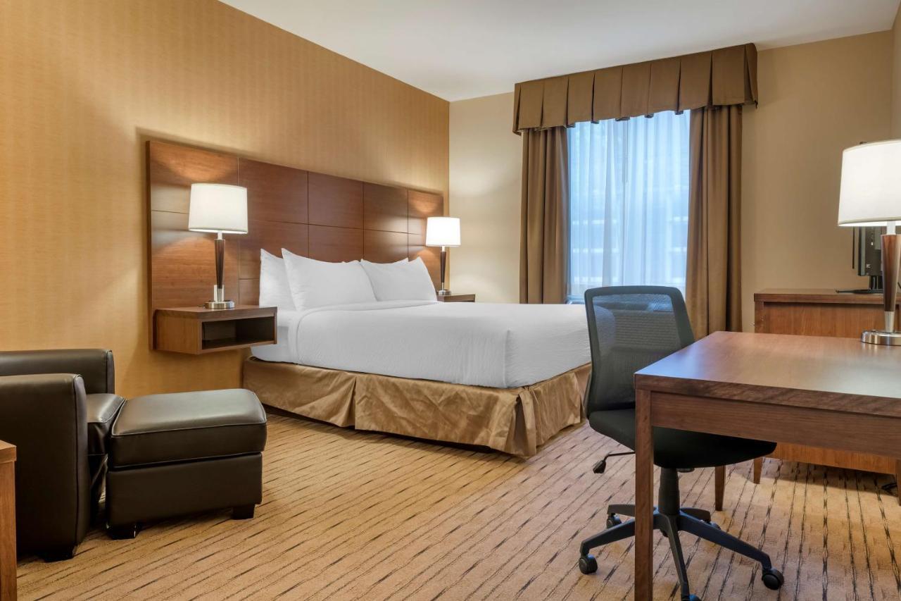 Best Western Plus, Bathurst Hotel & Suites Extérieur photo
